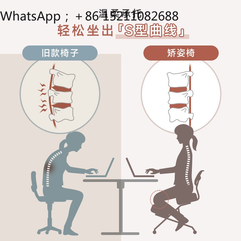 LLY オフィスチェア、人間工学に基づいた姿勢矯正チェア、ニ - Ergonomic Office Chair のレビューと価格